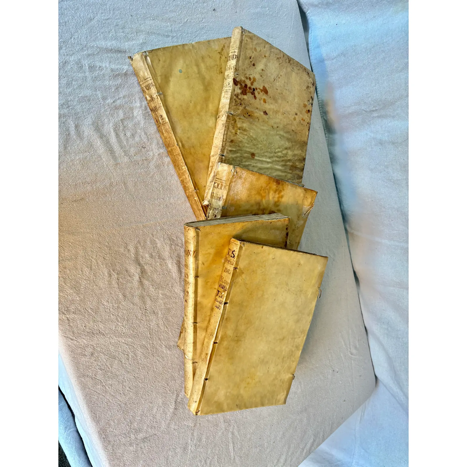 18th Century Spanish Vellum Books - Set of Five - Image 11