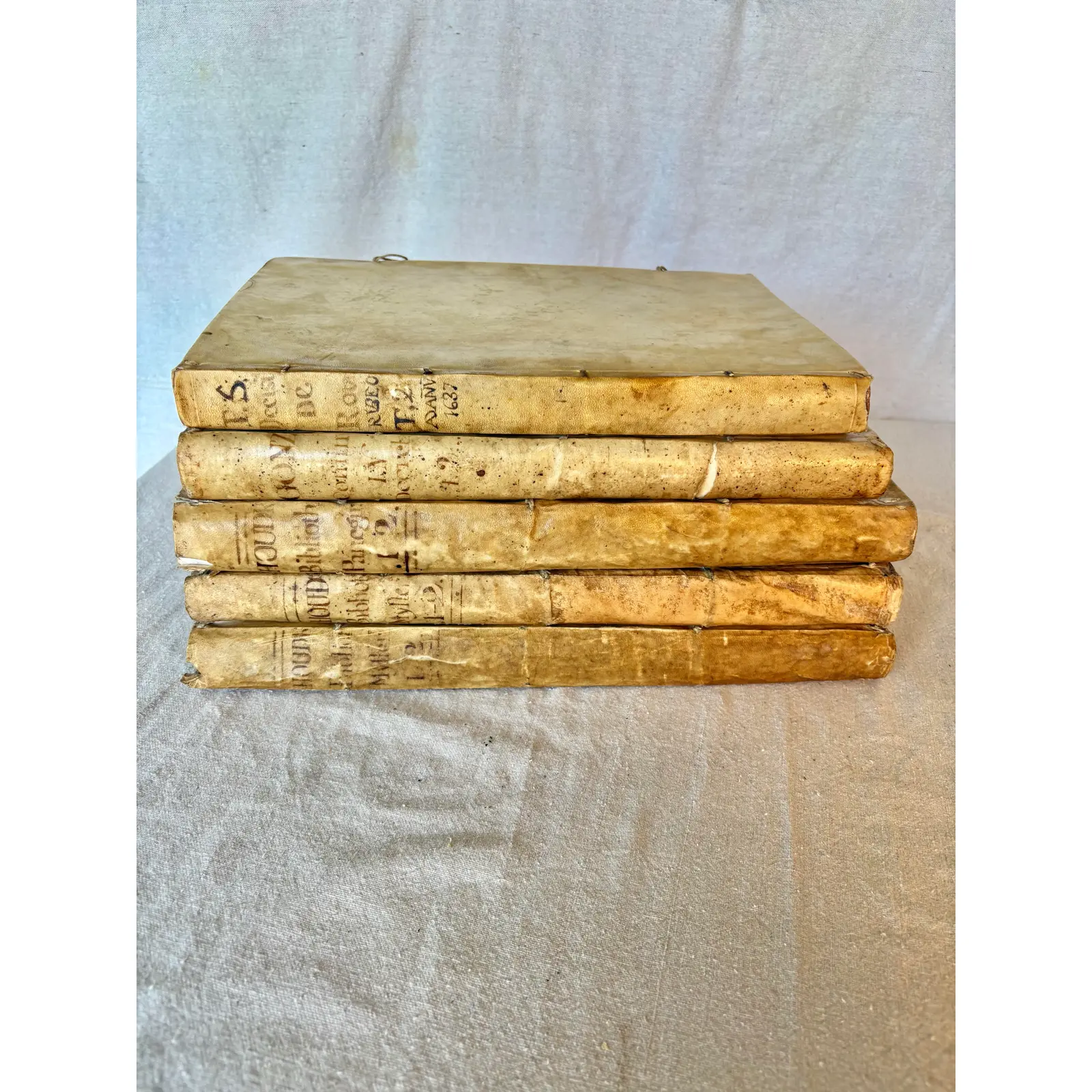 18th Century Spanish Vellum Books - Set of Five - Image 5