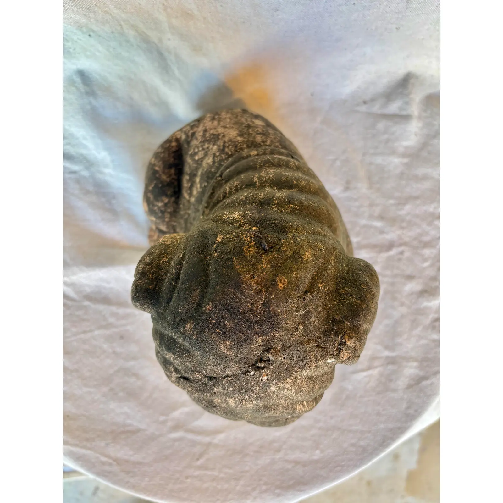 Early 20th Century French Terracotta Bulldog Garden Sculpture - Image 11
