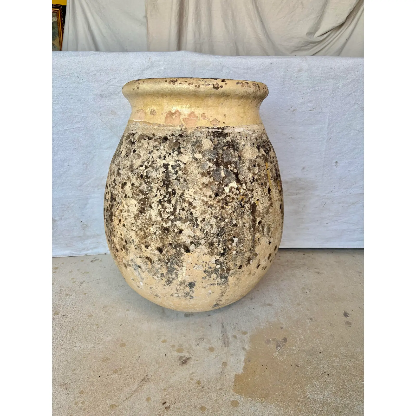 19th Century French Biot Pot Olive Jar - Image 9